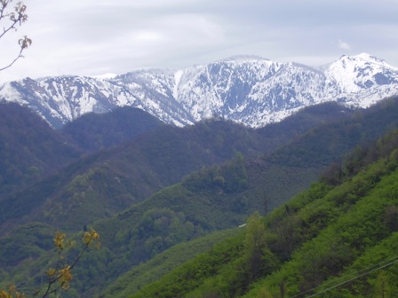 sisdagi sisda?? sis dagi haber sisdagi hakk?nda bir?ok ?ey canakc? ?anak?? karadeniz giresun sisda?l?lar